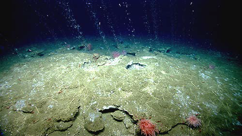 hydrology brochure