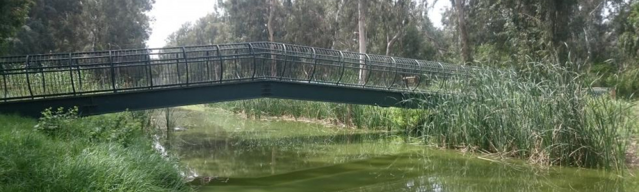 הנעמן