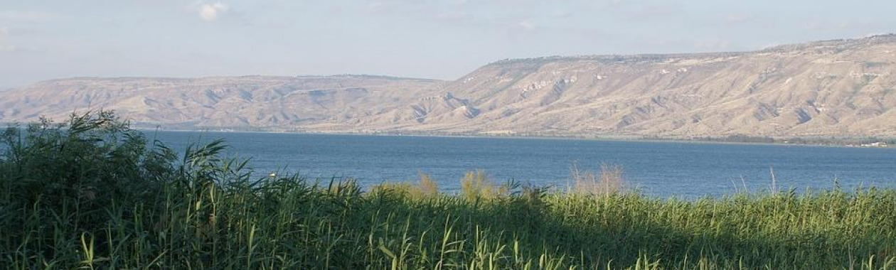 כנרת